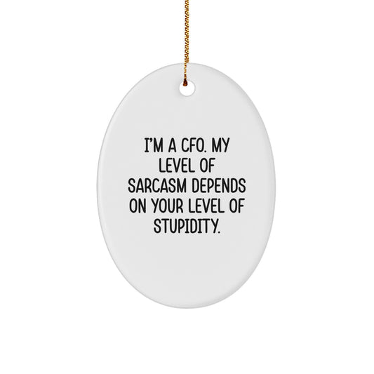 Funny CFO Gifts from Friends to CFO, Oval Ornament for Christmas Unique Gifts, I'm A CFO, My Level Of Sarcasm Depends On Your Level Of Stupidity. - Image 1