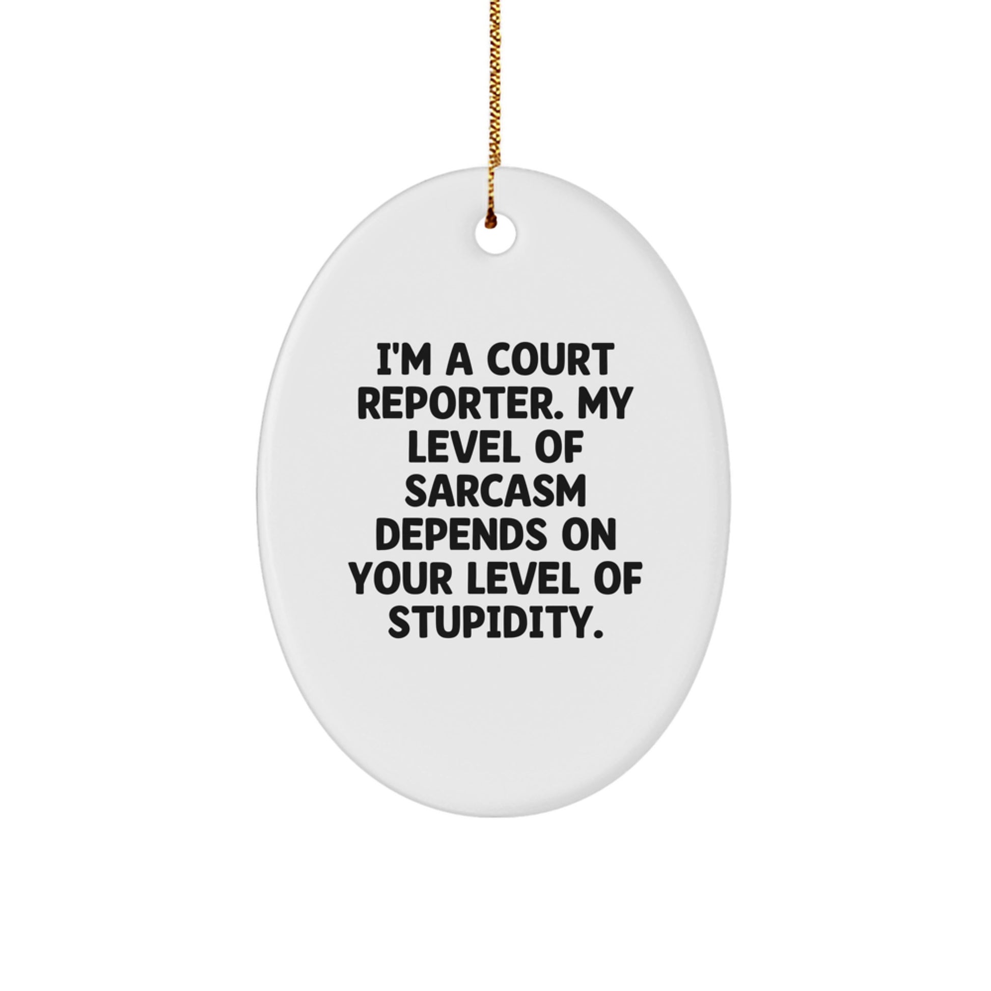 Funny Court Reporter Gifts from Friends, Unique Oval Ornament for Court Reporter, Christmas Unique Gifts - Image 1