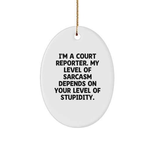 Funny Court Reporter Gifts from Friends, Unique Oval Ornament for Court Reporter, Christmas Unique Gifts - Image 1