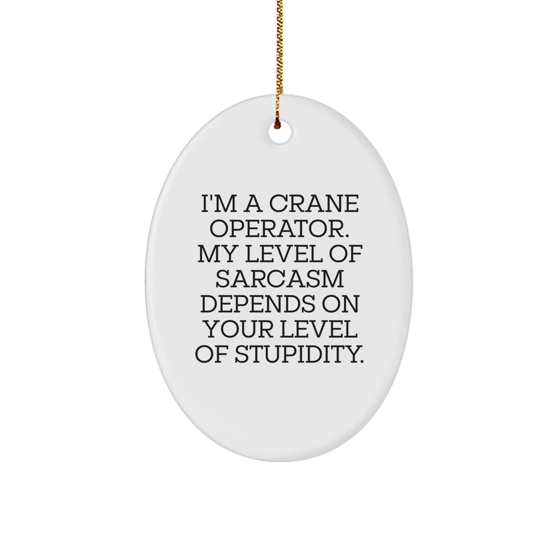 Funny Crane Operator Gifts for Him - Oval Ornament with Sarcasm Quote, Unique Christmas Unique Gifts from Friends, Coworkers, or Family for Crane Operator - Image 1