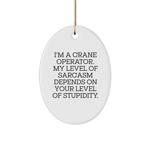 Funny Crane Operator Gifts for Him - Oval Ornament with Sarcasm Quote, Unique Christmas Unique Gifts from Friends, Coworkers, or Family for Crane Operator - Image 1