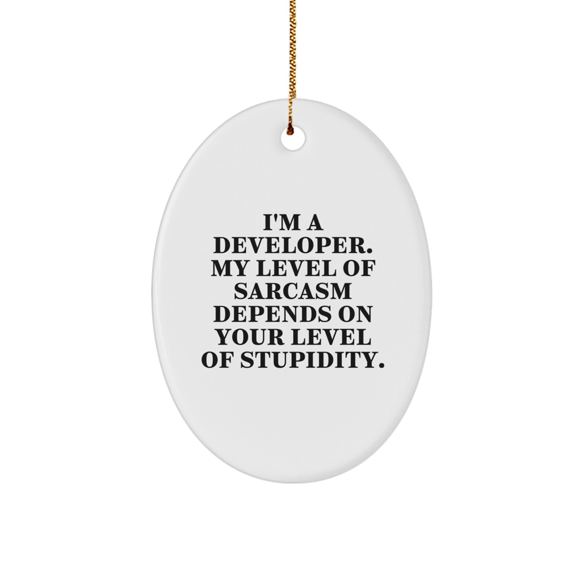 Funny Developer Oval Ornament, Great Gift for Men or Women Friends - I'm A Developer Gifts for Christmas - Image 1