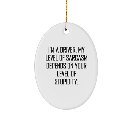 Funny Driver Gifts from Men to Driver Friends for Christmas - Oval Ornament, Funny Sarcasm Quote, Gift for Driver, Christmas Unique Gifts, Oval Shaped Decor - Image 1