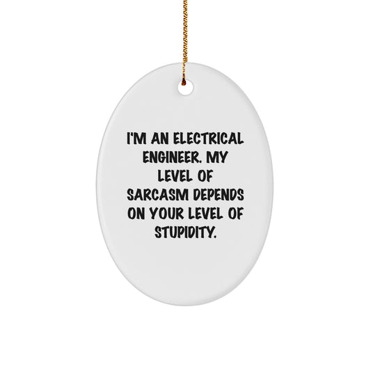 Funny Electrical Engineer Oval Ornament Gifts from Men to Electrical Engineer - Image 1