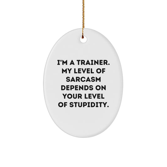 Funny Trainer Gifts for Men, Oval Ornament with Sarcasm Quote from Friends, Perfect for Coworkers or Family - Image 1