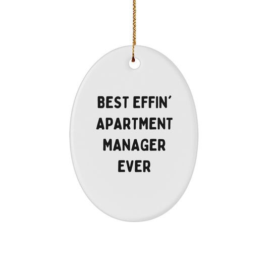 Funny Apartment Manager Gifts from Friends - Best Effin' Quote Oval Ornament for Men, Women, Coworkers, Family - Christmas Unique Present for Apartment Manager - Image 1