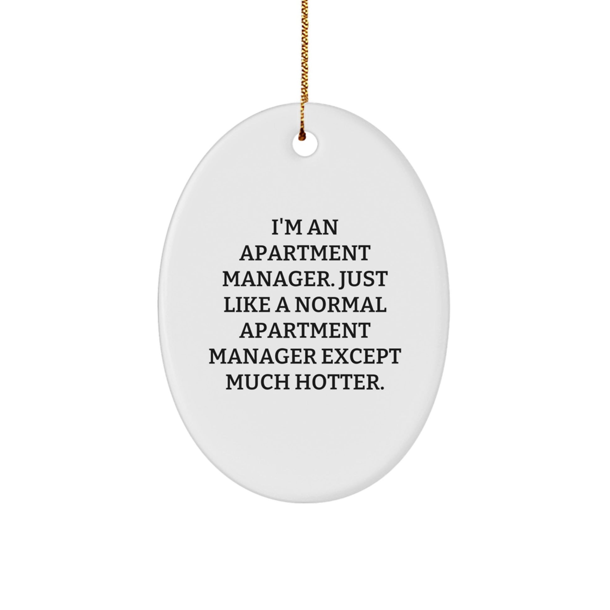 Funny Apartment Manager Christmas Oval Ornament Gifts from Family for Apartment Manager Friends - Image 1
