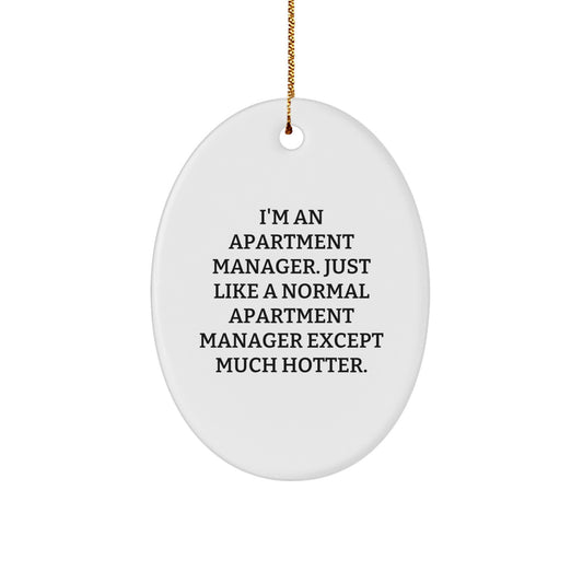 Funny Apartment Manager Christmas Oval Ornament Gifts from Family for Apartment Manager Friends - Image 1