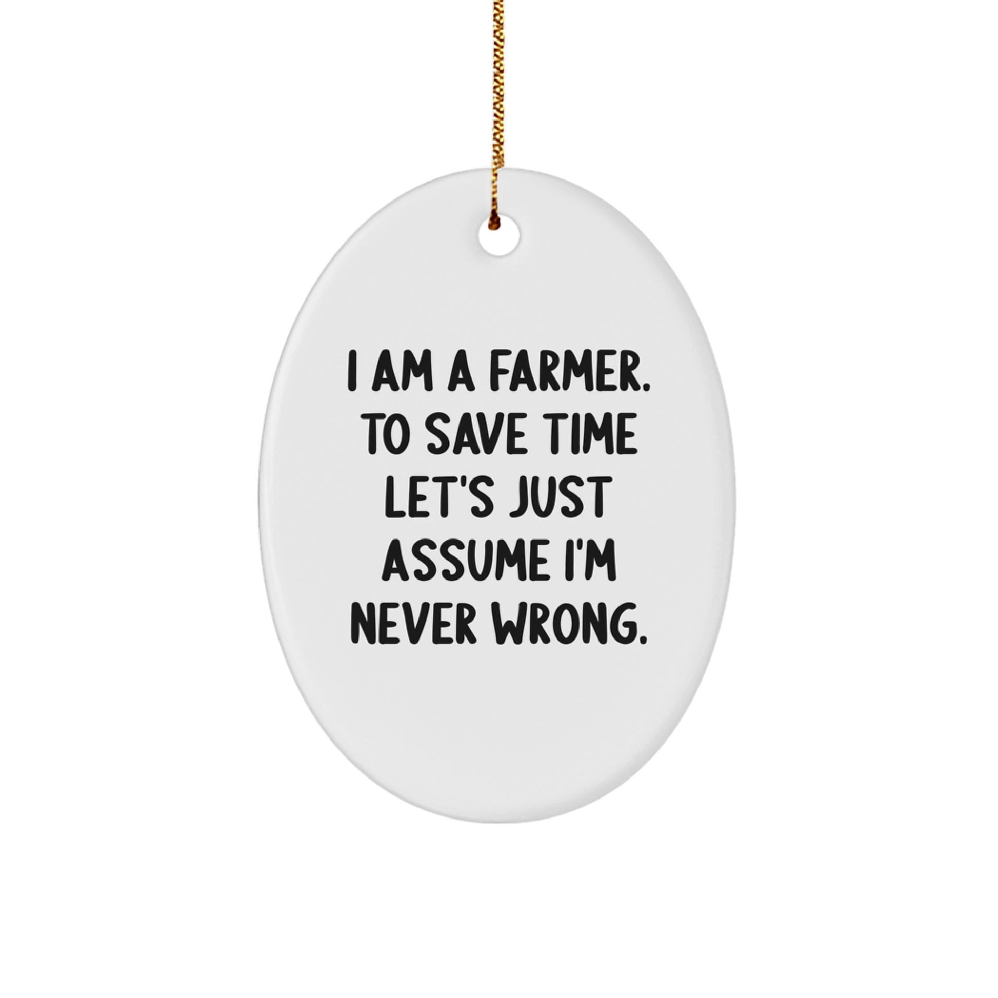 Funny Farmer Oval Ornament Gifts from Friends for Farmer Christmas Unique Decorations - Image 1