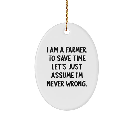 Funny Farmer Oval Ornament Gifts from Friends for Farmer Christmas Unique Decorations - Image 1