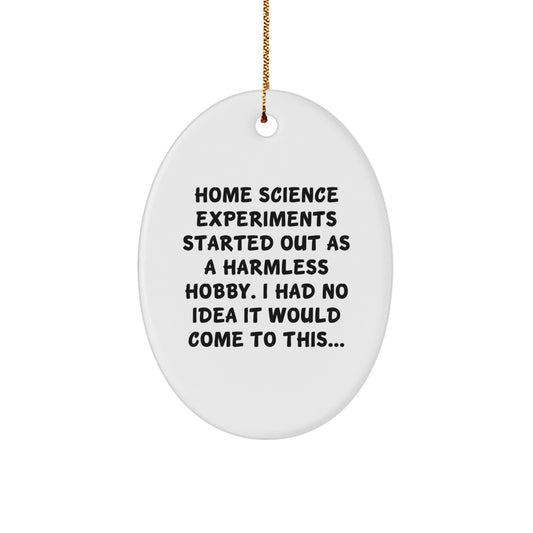 Home Science Experiments Funny Quote Oval Ornament Gifts from Family for Home Science Experiments Enthusiasts at Christmas Time - Image 1