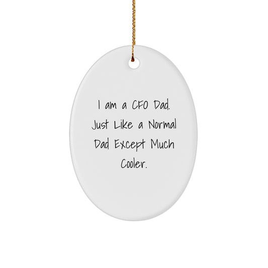 Gifts from Friends, Funny CFO Dad Christmas Unique Gifts, Oval Ornament for CFO Men - Image 1