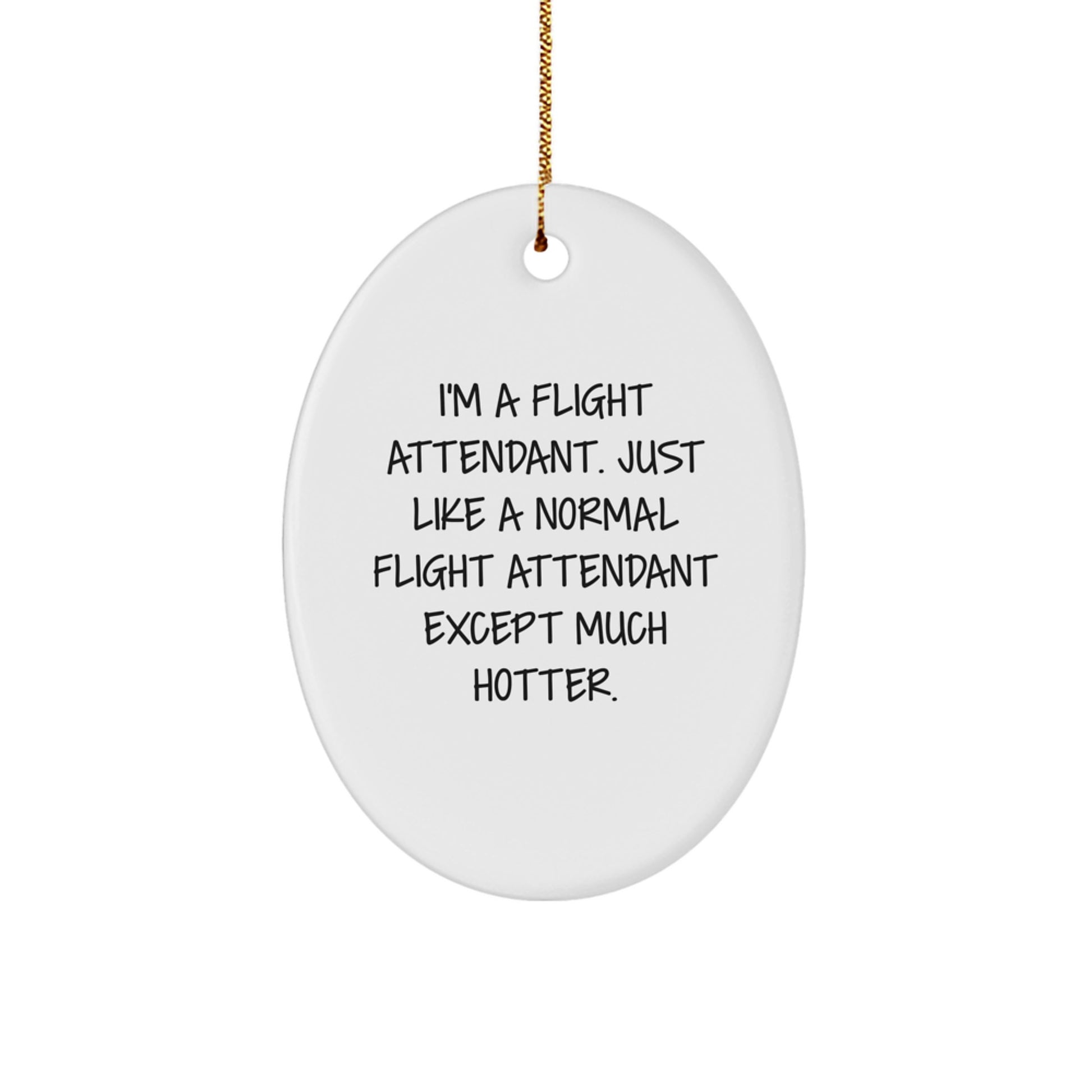 Funny Flight Attendant Gifts from Friends, Unique Oval Ornament for Flight Attendants, Christmas Unique Gifts - Image 1