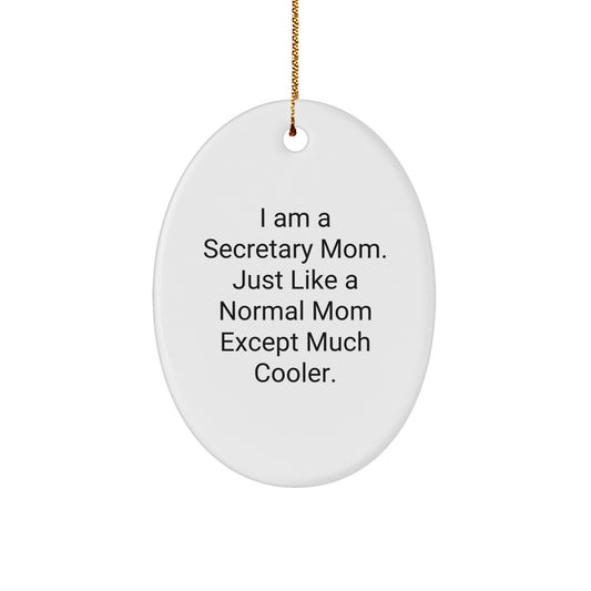 Funny Secretary Mom Oval Ornament Gifts from Men to Friends at Christmas - Image 1