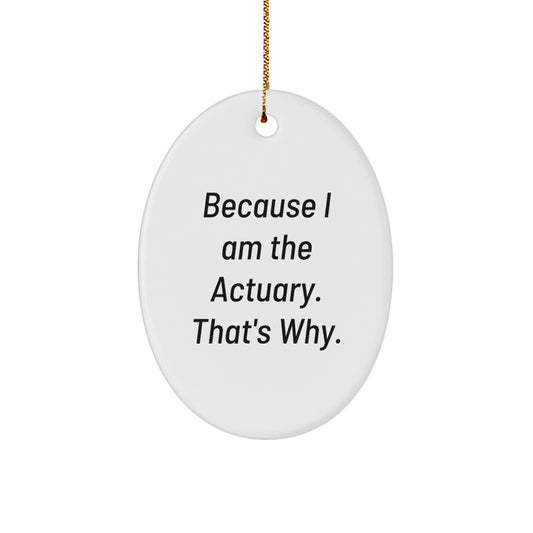 Funny Actuary Gifts from Friends - Oval Ornament Because I Am The Actuary That's Why - Unique Christmas Decorations for Actuary Men Women Coworkers Family - Image 1