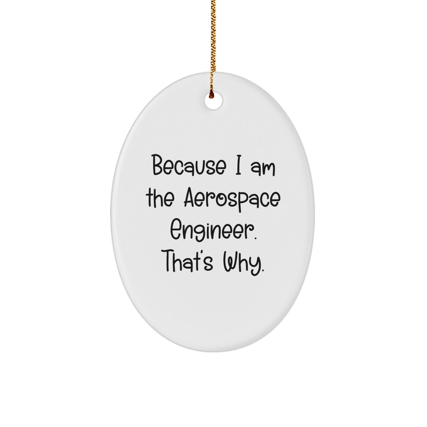 Gifts from Friends and Family - Because I Am The Aerospace Engineer. That's Why. Oval Ornament for Christmas Unique Gifts - Image 1