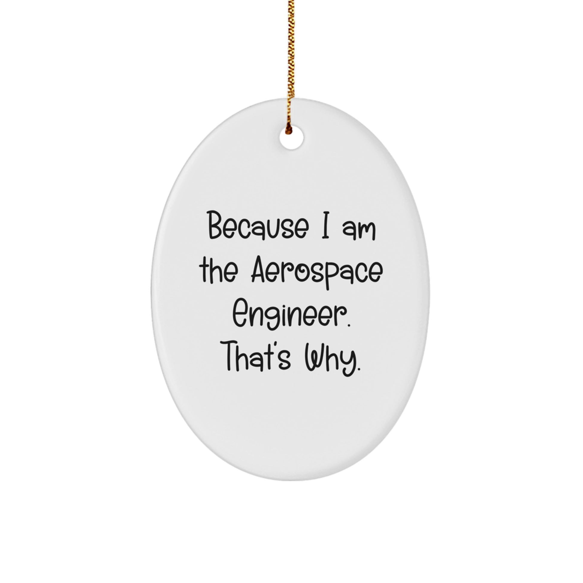 Gifts from Friends and Family - Because I Am The Aerospace Engineer. That's Why. Oval Ornament for Christmas Unique Gifts - Image 1