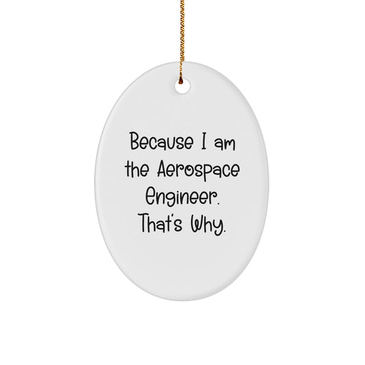 Gifts from Friends and Family - Because I Am The Aerospace Engineer. That's Why. Oval Ornament for Christmas Unique Gifts - Image 1