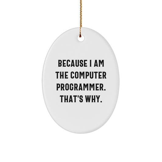 Gifts from Friends for Computer Programmer, Oval Ornament Christmas Unique Gift Idea for Him, Funny Quote Because I Am The Computer Programmer That's Why. - Image 1