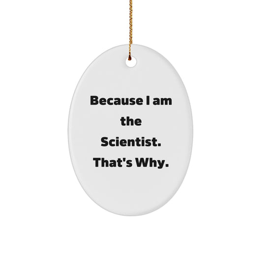 Funny Scientist Oval Ornament Gifts from Men to Scientists Friends Christmas Unique - Image 1