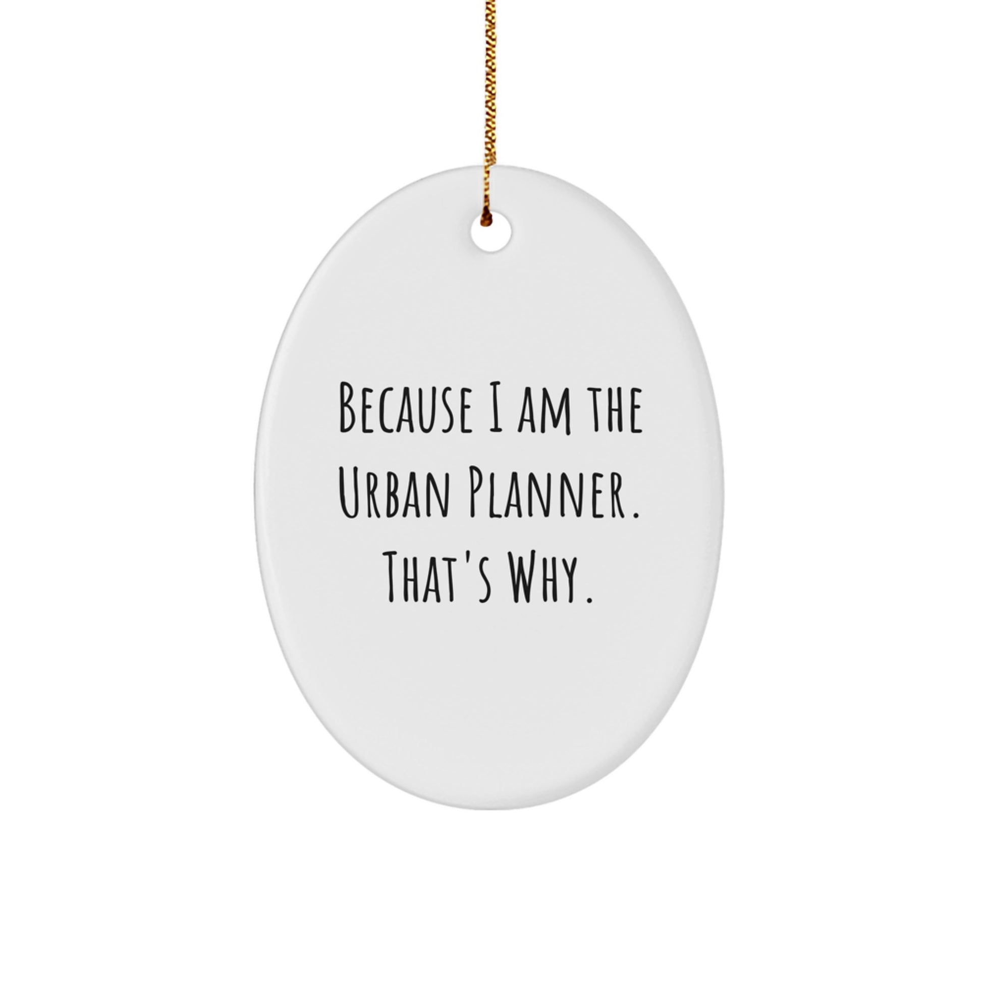 Urban Planner Oval Ornament Funny Quote Gifts from Friends, Gifts for Urban Planner, Oval Ornament Christmas Unique - Image 1