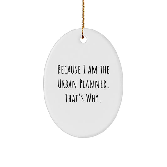 Urban Planner Oval Ornament Funny Quote Gifts from Friends, Gifts for Urban Planner, Oval Ornament Christmas Unique - Image 1