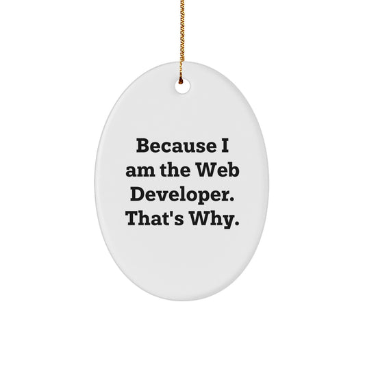 Funny Web Developer Oval Ornament Gifts from Friends, Gifts for Web Developers, Because I Am The Web Developer That's Why, Oval Ornament Christmas Unique Gifts, Web Developer Christmas Unique Gifts - Image 1