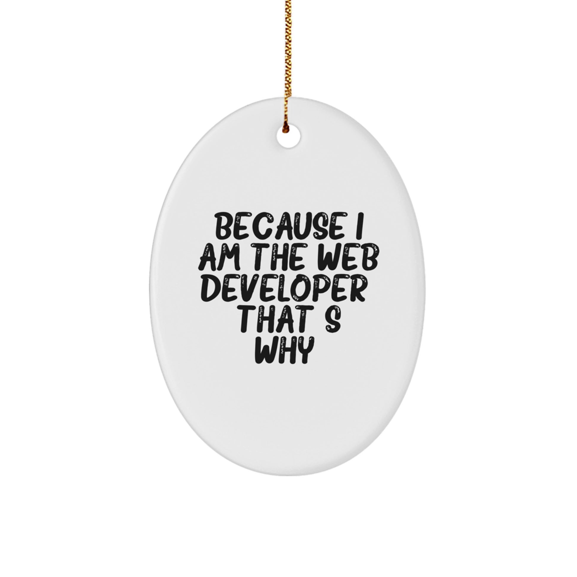 Funny Oval Ornament for Web Developer Gifts from Family, Perfect for Web Developer Christmas Unique Gifts - Image 1