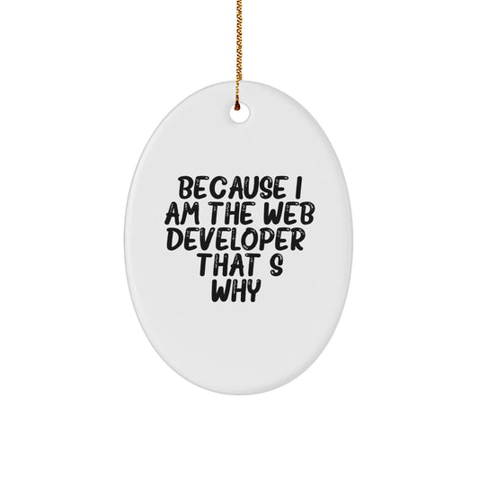Funny Oval Ornament for Web Developer Gifts from Family, Perfect for Web Developer Christmas Unique Gifts - Image 1