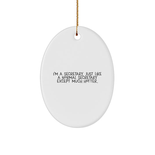 Funny Secretary Oval Ornament Gifts from Family, Friends, or Coworkers for a Hot Secretary - Christmas Unique Gifts for a Secretary's Desk - Image 1