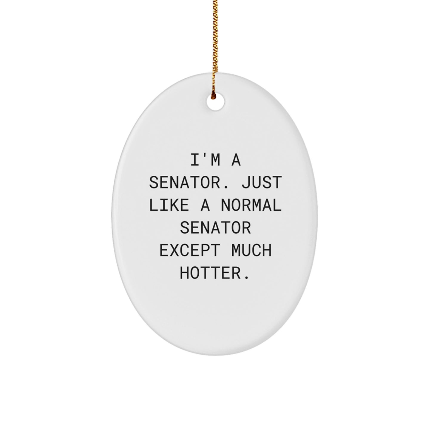 Funny Senator Oval Ornament Gifts from Family, Ideal for Senator Men on Christmas Unique Gifts - Image 1