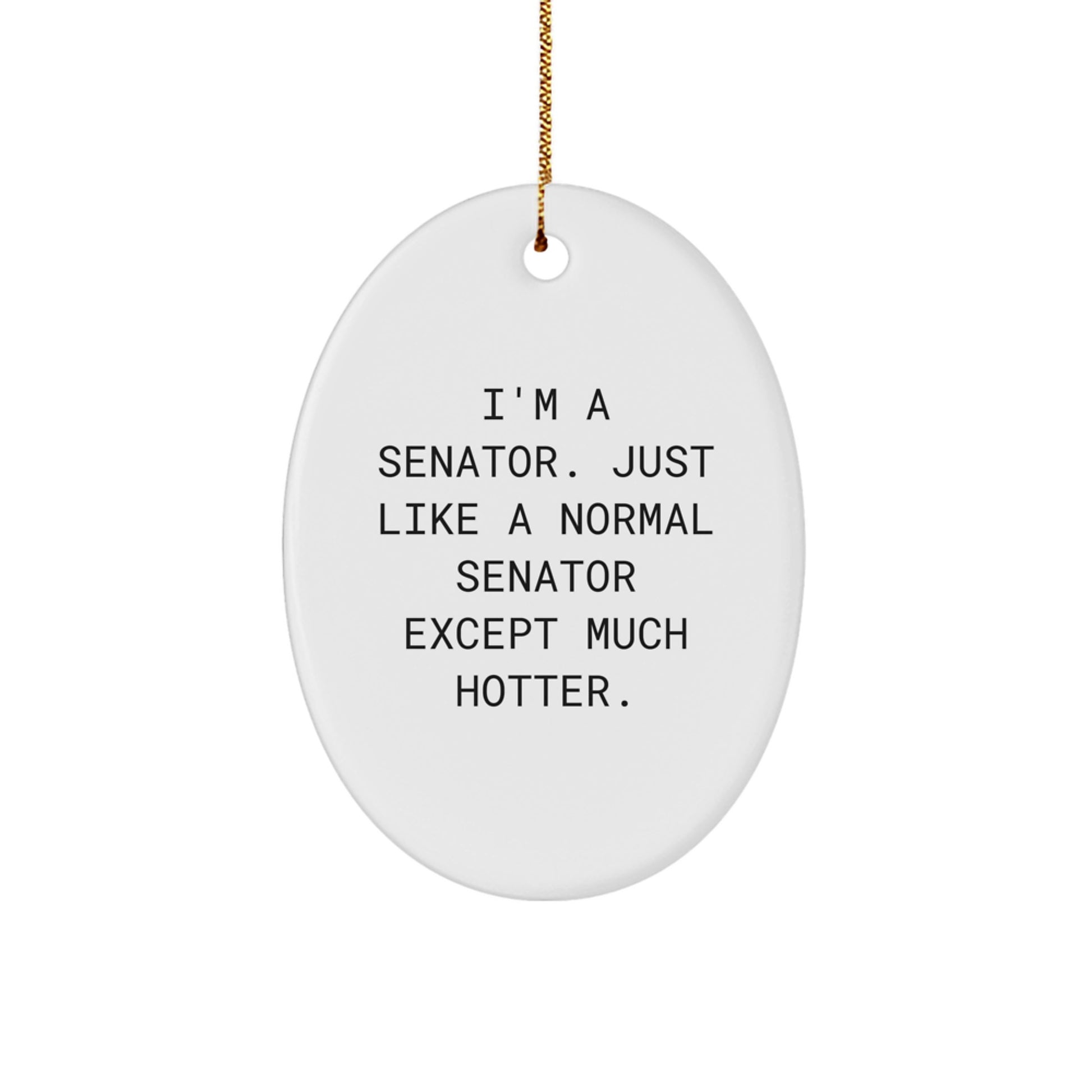 Funny Senator Oval Ornament Gifts from Family, Ideal for Senator Men on Christmas Unique Gifts - Image 1