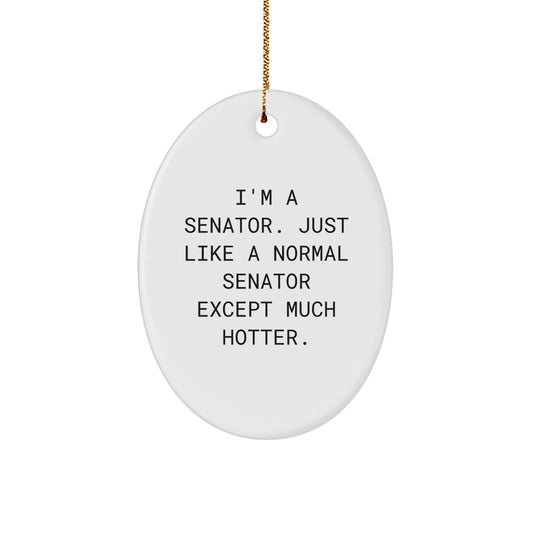 Funny Senator Oval Ornament Gifts from Family, Ideal for Senator Men on Christmas Unique Gifts - Image 1
