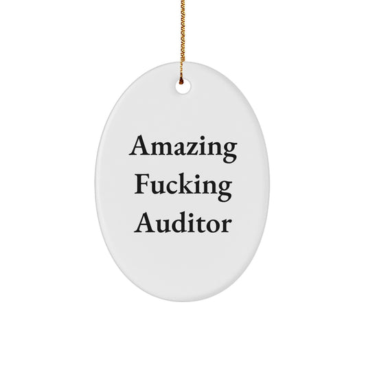 Funny Auditor Gifts from Men for Auditor Friends and Family - Oval Ornament with Amazing F--king Auditor Quote - Christmas Unique Gifts - Image 1
