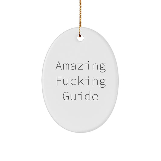Funny Guide Gifts for Men Friends Coworkers from You, Oval Ornament with Amazing F--king Guide Quote, Christmas Unique Decorations - Image 1