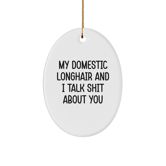 Funny Domestic Longhair Cat Christmas Oval Ornament Gifts from Friends to Family - Image 1