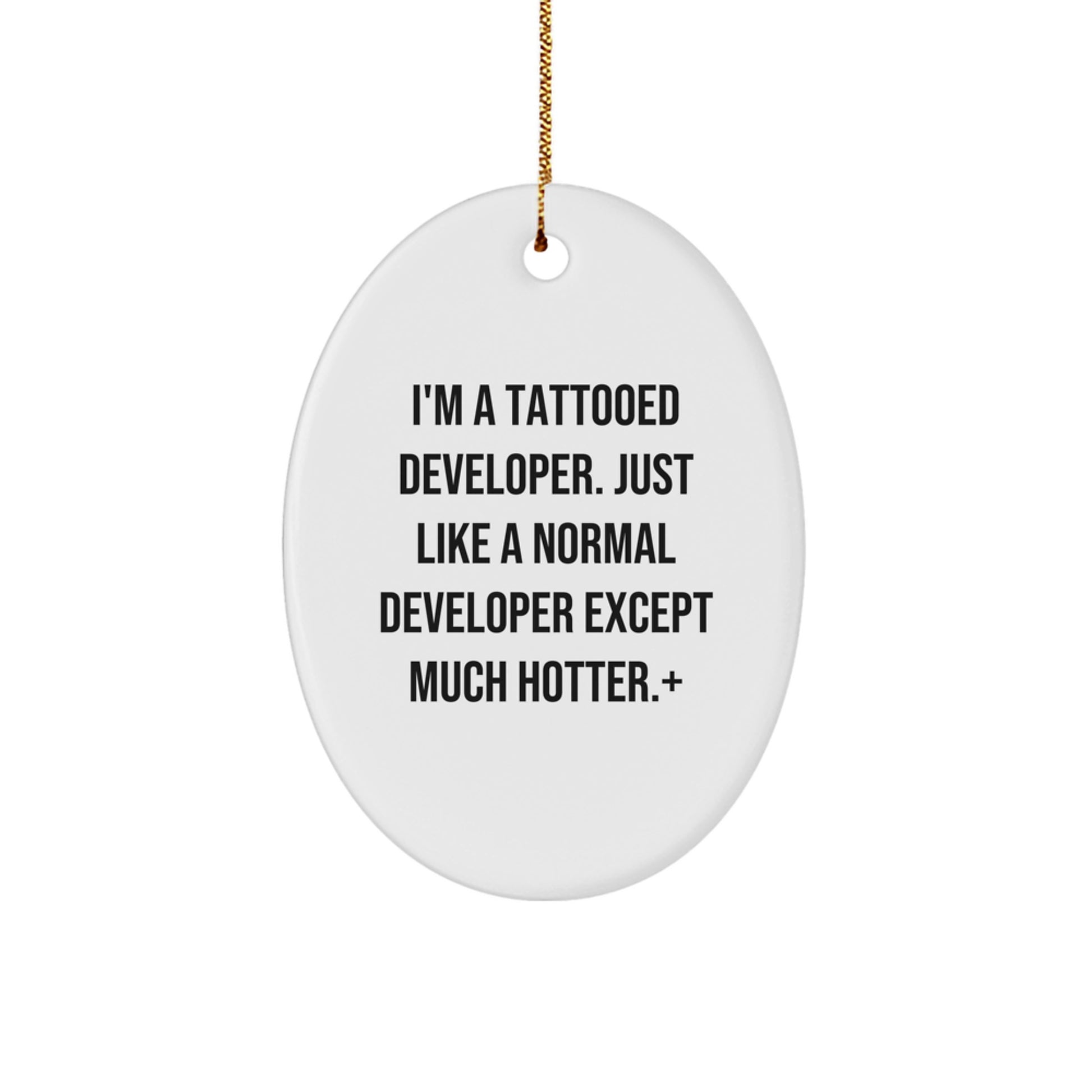 Funny Developer Oval Ornament Gifts from Friends for Men, Women and Family Members This Christmas - Image 1