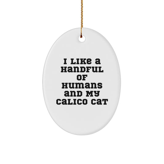 Funny Calico Cat Oval Ornament Gifts from Family, Christmas Unique Gifts for Calico Cat Lovers, 'I Like A Handful Of Humans And My Calico Cat' - Image 1