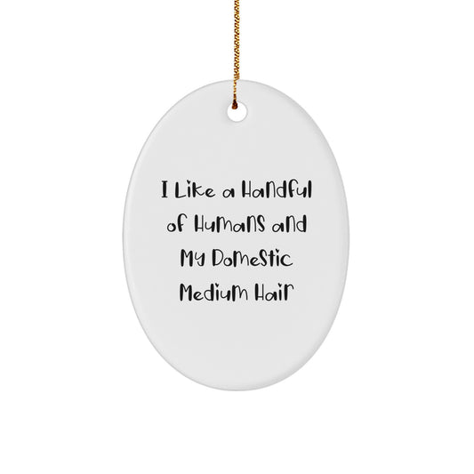 Funny Domestic Medium Hair Cat Oval Ornament, I Like A Handful Of Humans And My Domestic Medium Hair Cat Gifts from Men, Christmas Unique Gifts for Domestic Medium Hair Cat, Oval Shaped Ornament - Image 1