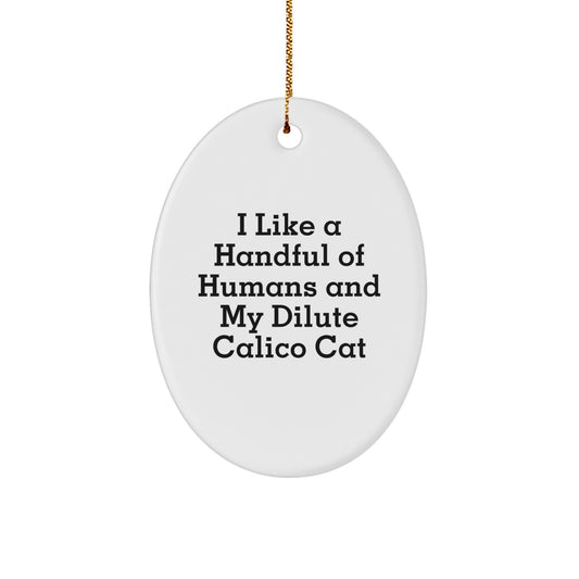 Funny Dilute Calico Cat Oval Ornament Gifts from Men Women Friends Family for Christmas Unique Decorations, I Like A Handful Of Humans And My Dilute Calico Cat - Image 1