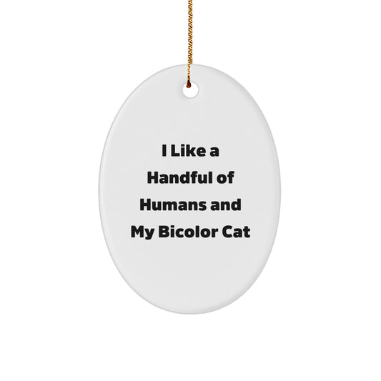 Funny Bicolor Cat Oval Ornament Gifts from Friends and Family for Christmas Decorations - Image 1