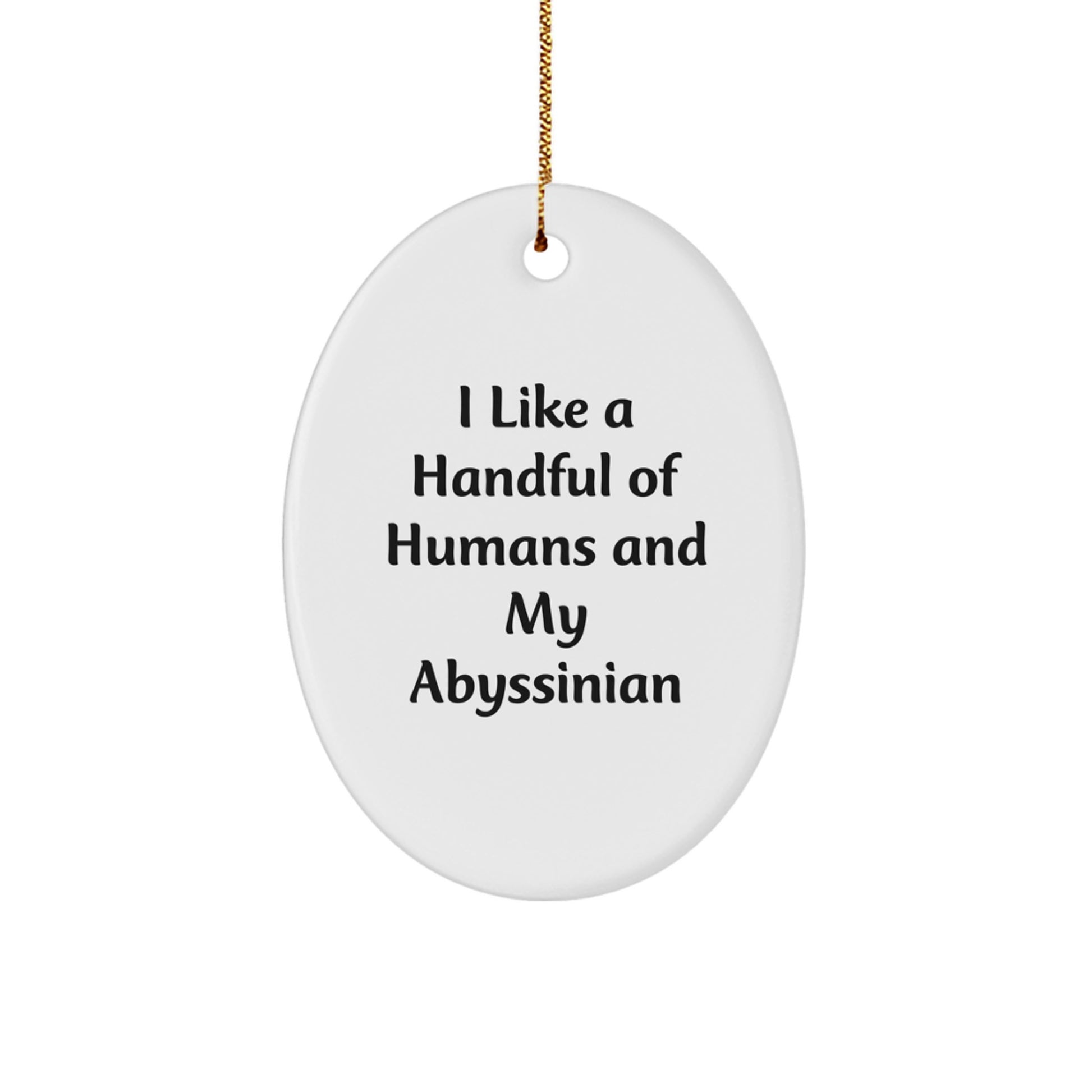 Abyssinian Cat Oval Ornament Funny Quote Gifts from Men to Abyssinian Cat Lovers Christmas Unique Gifts - Image 1