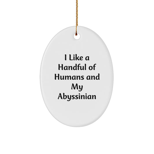 Abyssinian Cat Oval Ornament Funny Quote Gifts from Men to Abyssinian Cat Lovers Christmas Unique Gifts - Image 1