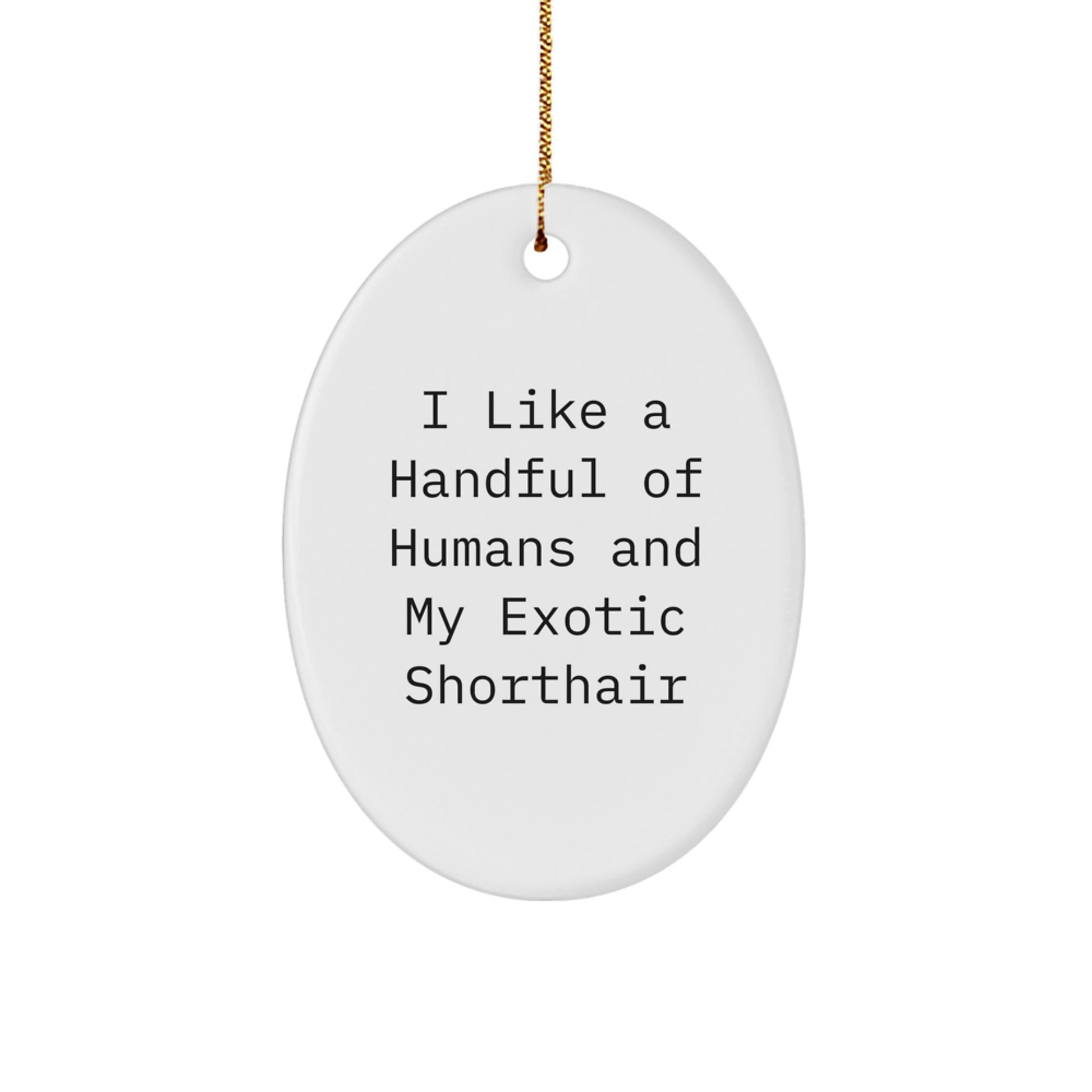 Funny Exotic Shorthair Cat Gifts from Friends, Oval Ornament for Exotic Shorthair Cat Lovers, I Like A Handful Of Humans And My Exotic Shorthair Christmas Unique - Image 1