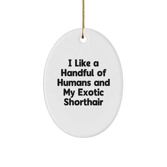 Exotic Shorthair Cat Oval Ornament Funny Quote Gifts from Friends for Christmas Unique - Image 1