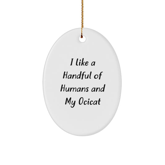 Funny Ocicat Oval Ornament Gifts from Friends for Christmas Unique Decorations - Image 1