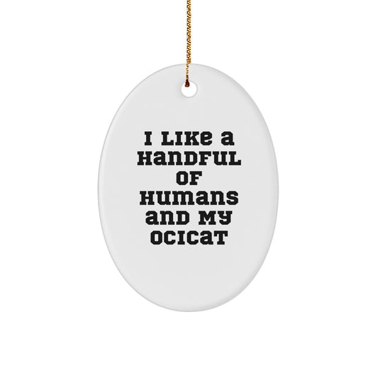 Ocicat Lover Gifts from Friends for Christmas Unique Oval Ornament, Funny Ocicat Lover Gift, White Oval Shaped Ornament, Gifts for Ocicat Enthusiasts - Image 1