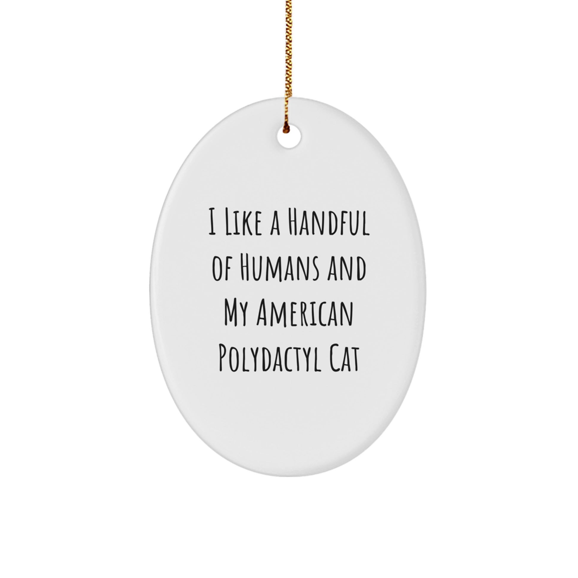 American Polydactyl Cat Oval Ornament Funny Cat Lover Gift, 'I Like A Handful Of Humans And My American Polydactyl Cat' Christmas Unique Gifts for Family Friends - Image 1