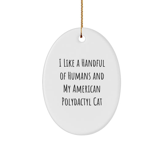 American Polydactyl Cat Oval Ornament Funny Cat Lover Gift, 'I Like A Handful Of Humans And My American Polydactyl Cat' Christmas Unique Gifts for Family Friends - Image 1
