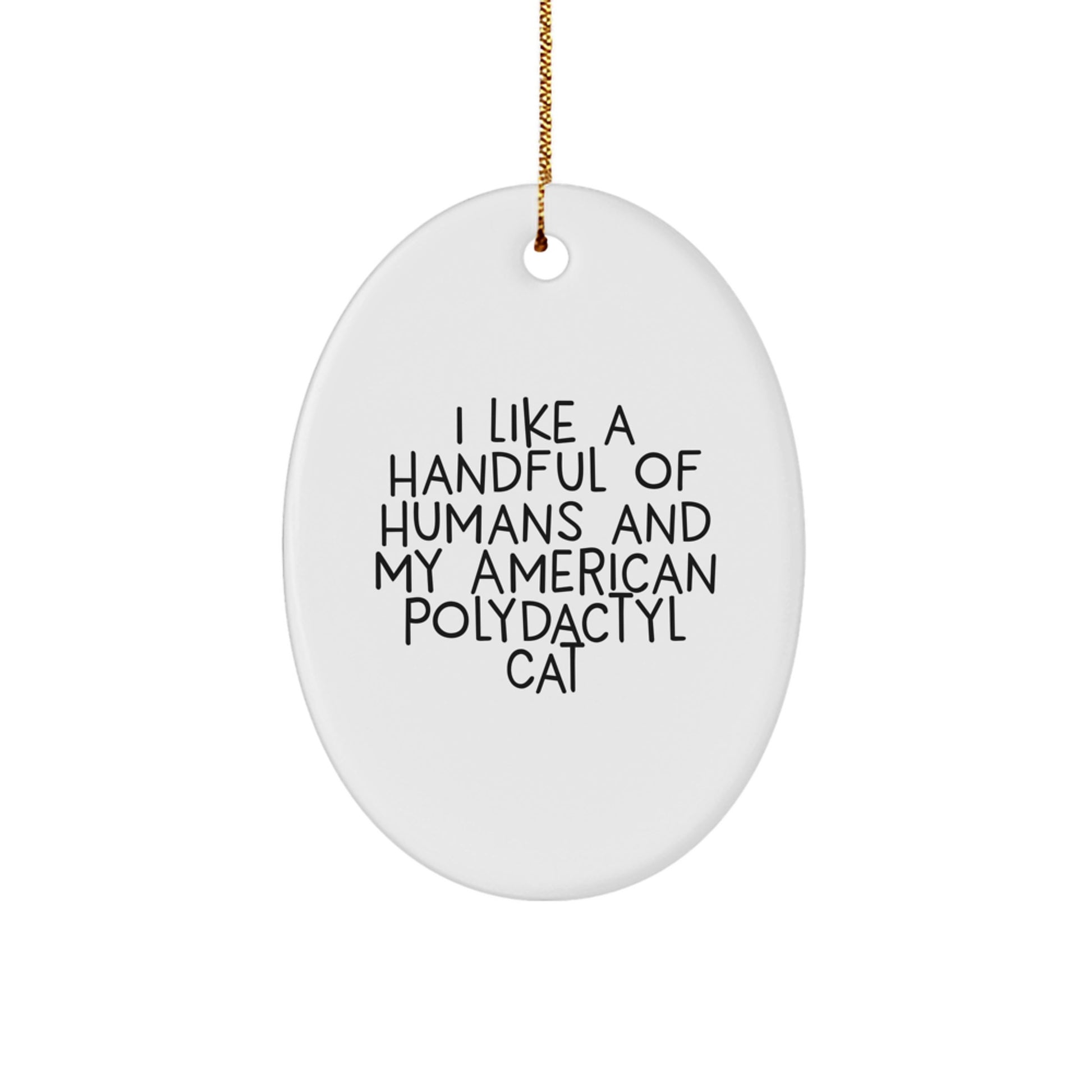 American Polydactyl Cat Oval Ornament Gifts from Friends and Family for Christmas Unique Decorations - Image 1